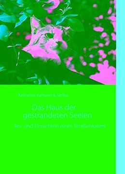 portada Das Haus der gestrandeten Seelen (German Edition)