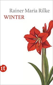 portada Winter (Insel Taschenbuch) (en Alemán)