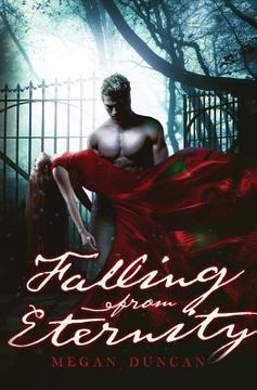 portada Falling From Eternity (A Paranormal Love Story) (en Inglés)