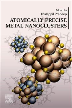 portada Atomically Precise Metal Nanoclusters (in English)