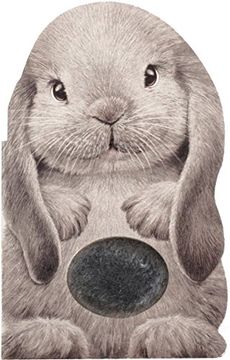 portada Furry Bunny (Mini Friends Touch & Feel) (en Inglés)