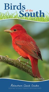 portada Birds of the South: Your way to Easily Identify Backyard Birds (Adventure Quick Guides) (en Inglés)