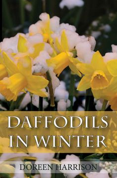 portada Daffodils in Winter (en Inglés)