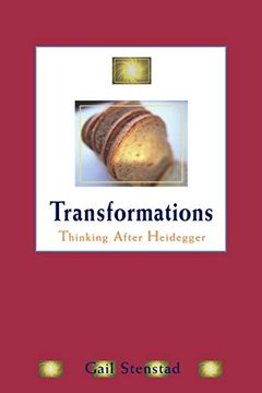 portada Transformations: Thinking After Heidegger (New Studies in Phenomenology and Hermeneutics) 