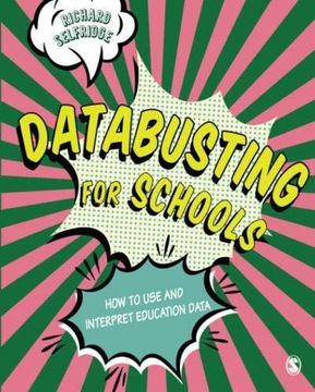 portada Databusting for Schools: How to use and Interpret Education Data (en Inglés)
