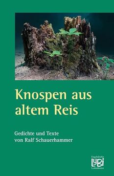 portada Knospen aus Altem Reis (en Alemán)