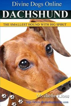 portada Dachshunds: Divine Dogs Online (en Inglés)