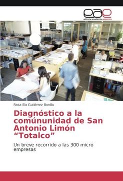 portada Diagnóstico a la comúnunidad de San Antonio Limón "Totalco": Un breve recorrido a las 300 micro empresas