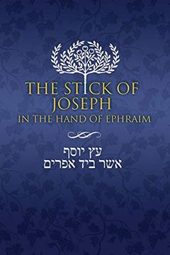 portada The Stick of Joseph in the Hand of Ephraim: First Edition Paperback, English (en Inglés)