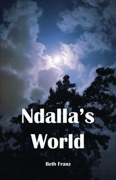 portada Ndalla's World (in English)