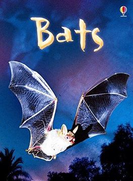 portada Bats (Usborne Beginners) (en Inglés)