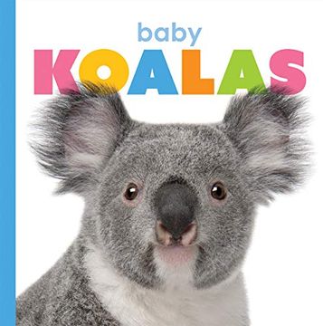 portada Baby Koalas (Starting Out) (in English)