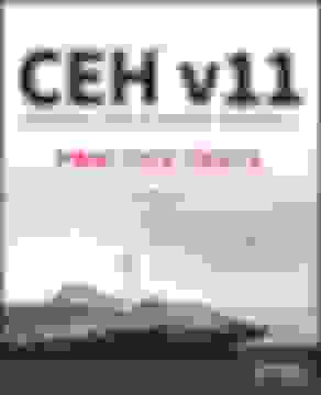 portada Ceh V11: Certified Ethical Hacker Version 11 Practice Tests (libro en Inglés)