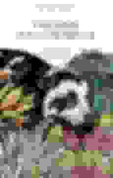 portada Paramos Para Colorear