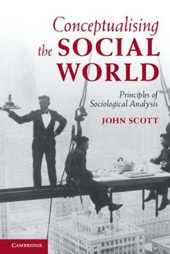 conceptualising the social world,principles of social analysis (en Inglés)