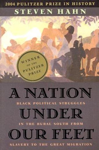 a nation under our feet,black political struggles in the rural south from slavery to the great migration