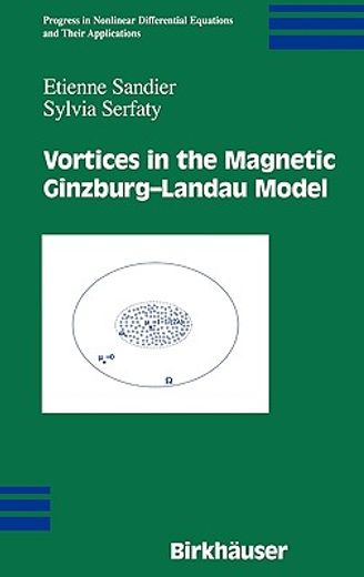 vortices in the magnetic ginzburg-landau model
