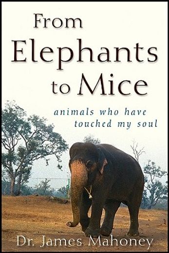 from elephants to mice,animals who have touched my soul