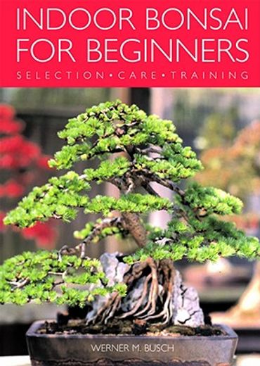 indoor bonsai for beginners,selection - care - training