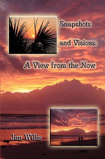 snapshots and visions,a view from the now