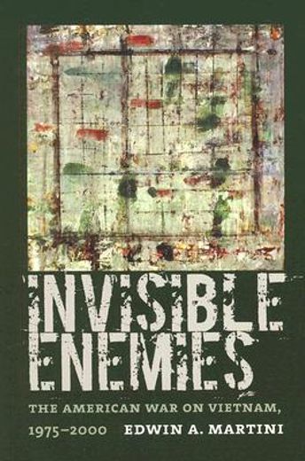 invisible enemies,the american war on vietnam, 1975-2000