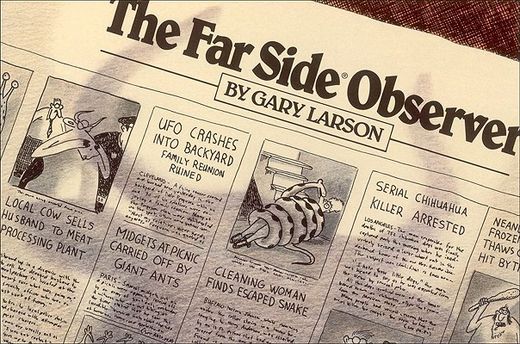 the far side observer (in English)