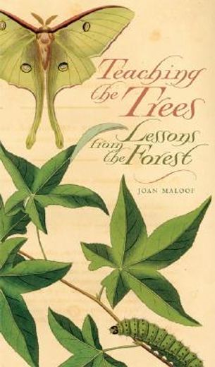 teaching the trees,lessons from the forest (en Inglés)