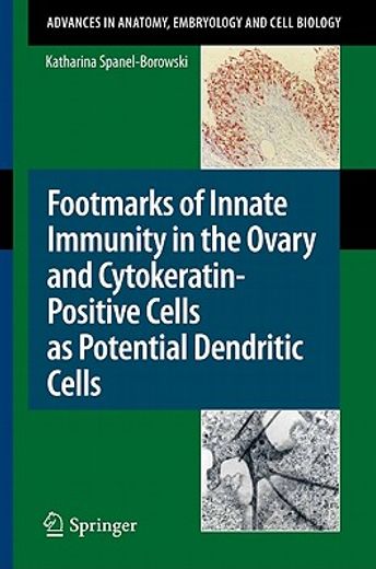 footmarks of innate immunity in the ovary and cytokeratin-positive cells as potential dendritic cells