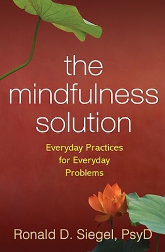 the mindfulness solution,everyday practices for everyday problems