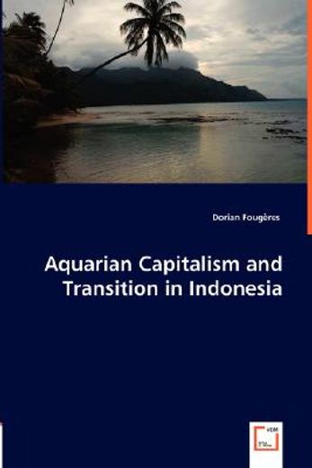 aquarian capitalism and transition in indonesia