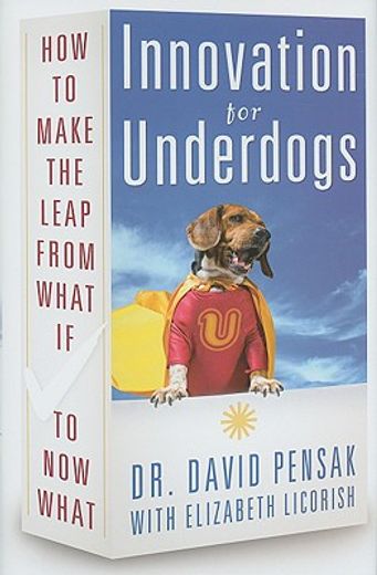 innovation for underdogs,how to make the leap from what if to now what