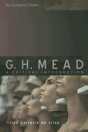 g.h. mead,a critical introduction