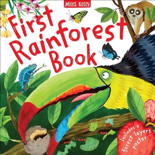 First Rainforest Book (en Inglés)