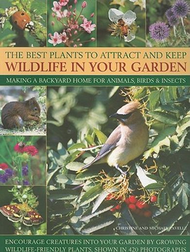 the best plants to attract and keep wildlife in your garden,making a backyard home for animals, birds & insects, encourage creatures into your garden by growing