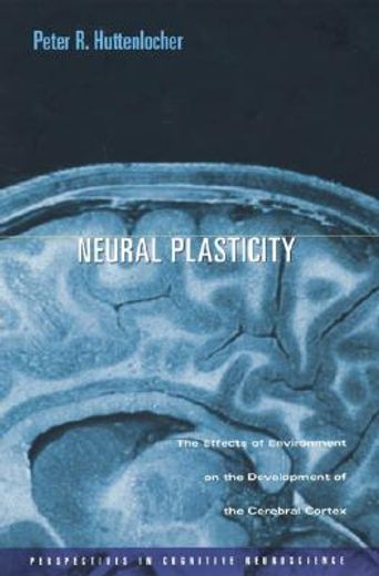 neural plasticity,the effects of environment on the development of the cerebral cortex