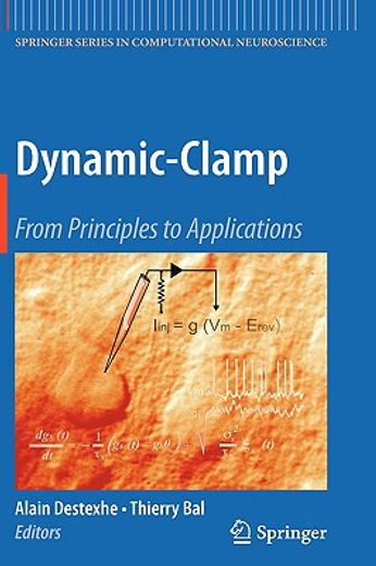 dynamic-clamp,from principles to applications