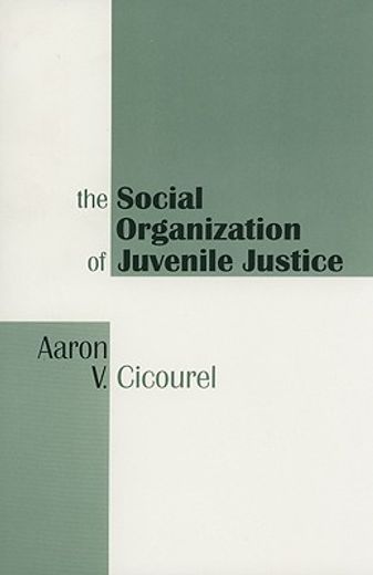 the social organization of juvenile justice