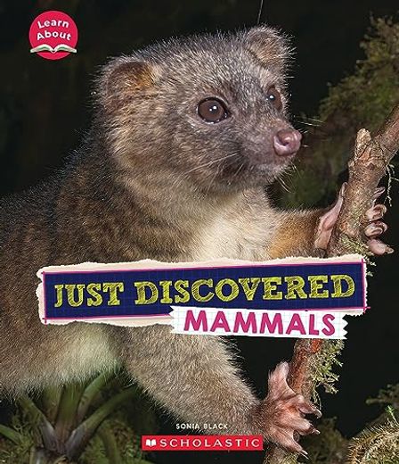 Just Discovered Mammals (Learn About: Animals) (en Inglés)