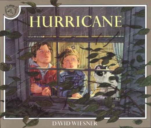 Hurricane (en Inglés)