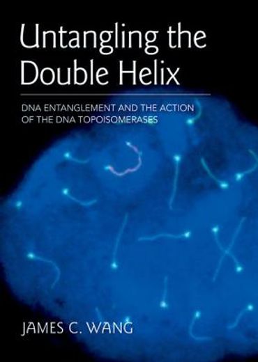 untangling the double helix,dna entanglement and the action of the dna topoisomerases