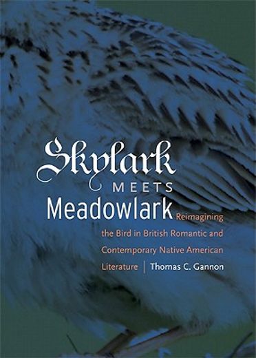 skylark meets meadowlark,reimagining the bird in british romantic and contemporary native american literature