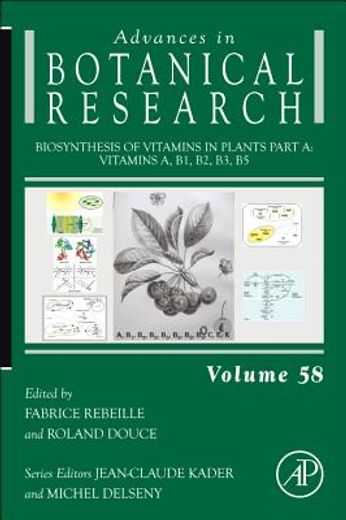 biosynthesis of vitamins in plants