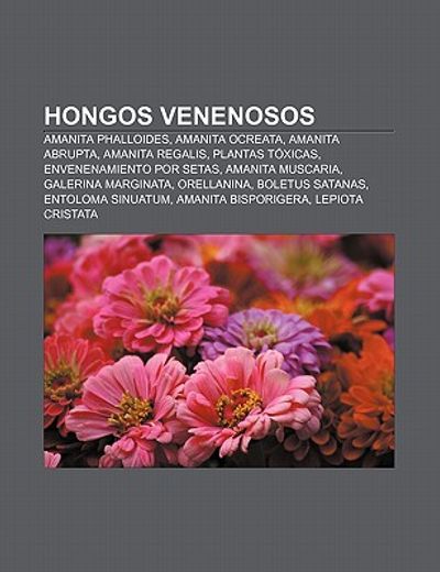 hongos venenosos: amanita phalloides, amanita ocreata, amanita abrupta, amanita regalis, plantas t xicas, envenenamiento por setas