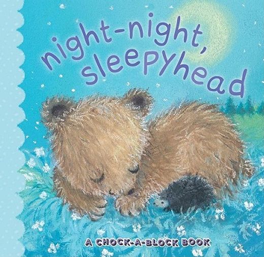 Night-Night, Sleepyhead: A Chock-A-Block Book (en Inglés)