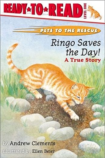 ringo saves the day!,a true story