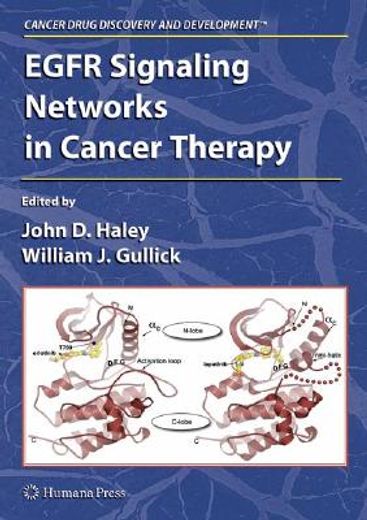 egfr signaling networks in cancer therapy