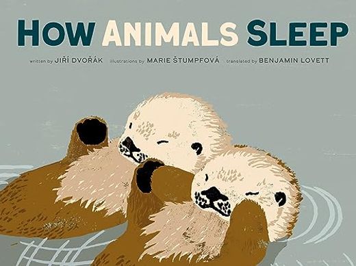 How Animals Sleep (en Inglés)