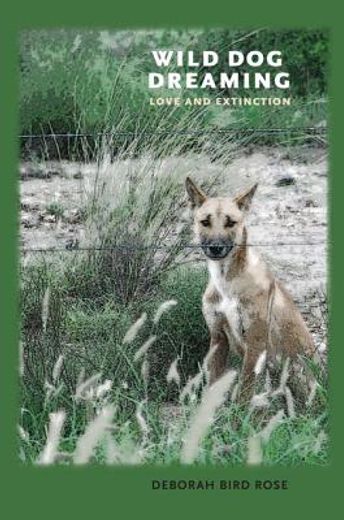 wild dog dreaming,love and extinction