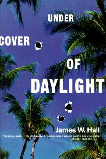 under cover of daylight (in English)