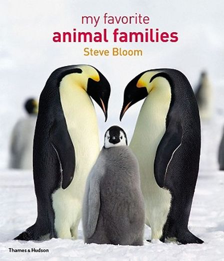 My Favorite Animal Families (in English)